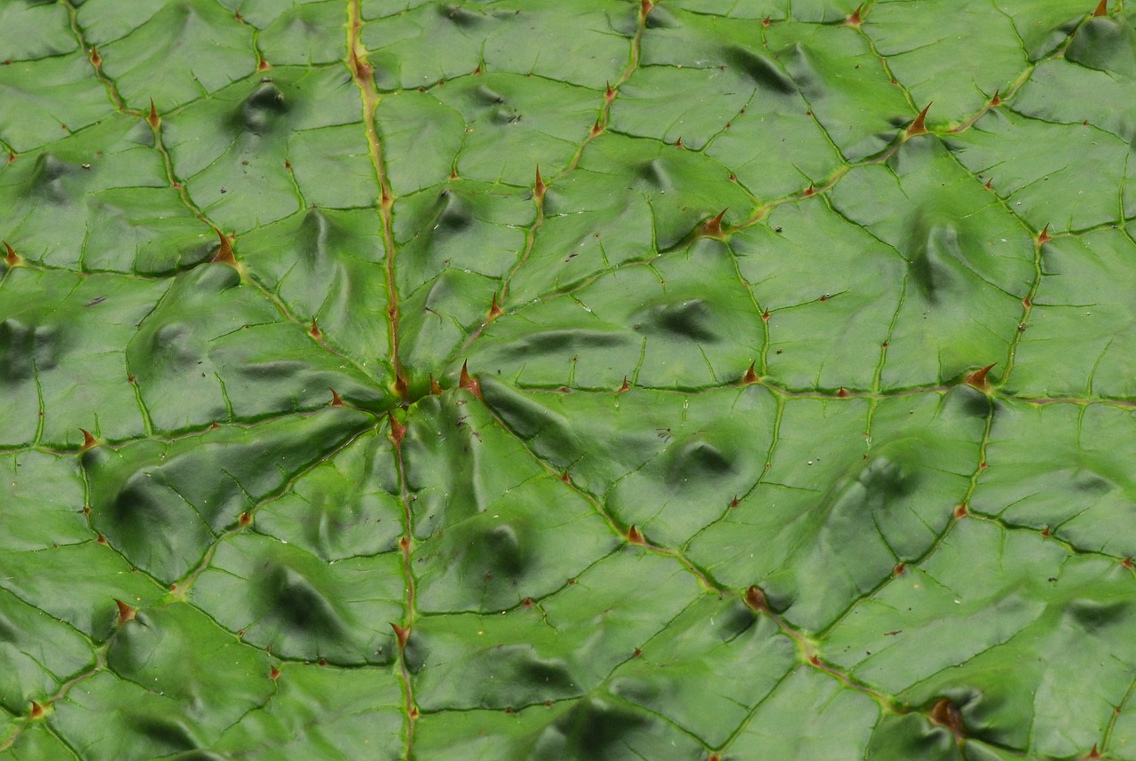 How Resilience Shapes our Ability to Handle Change?